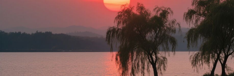 管理 员 Cover Image